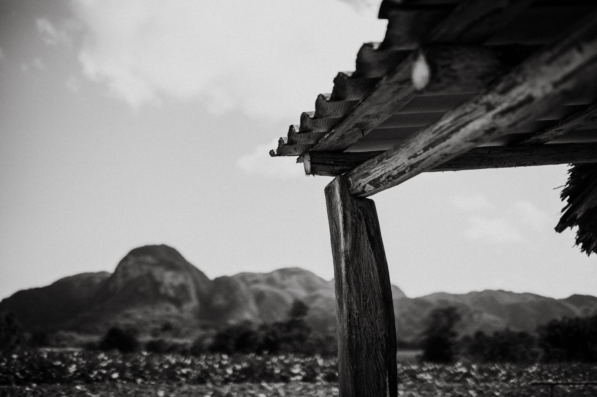 Black and white photo of a Cuban cigar farm in Vinales, Cuba. Wedding and travel photographer Brent Calis.