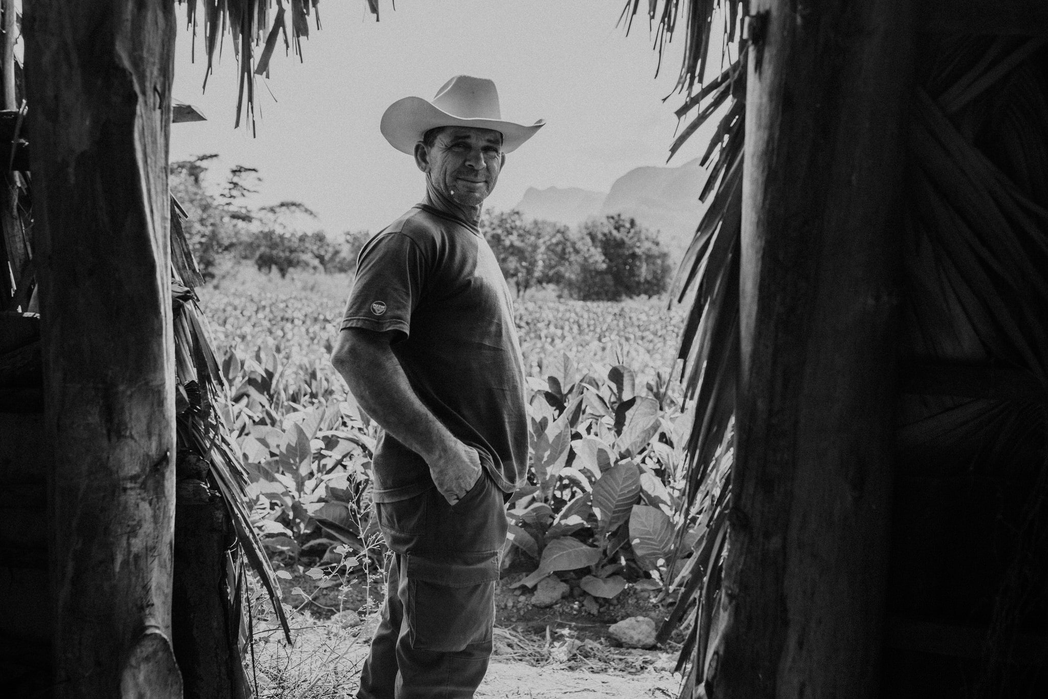 Tobacco farmer in Vinales, Cuba. Wedding and travel photographer Brent Calis.