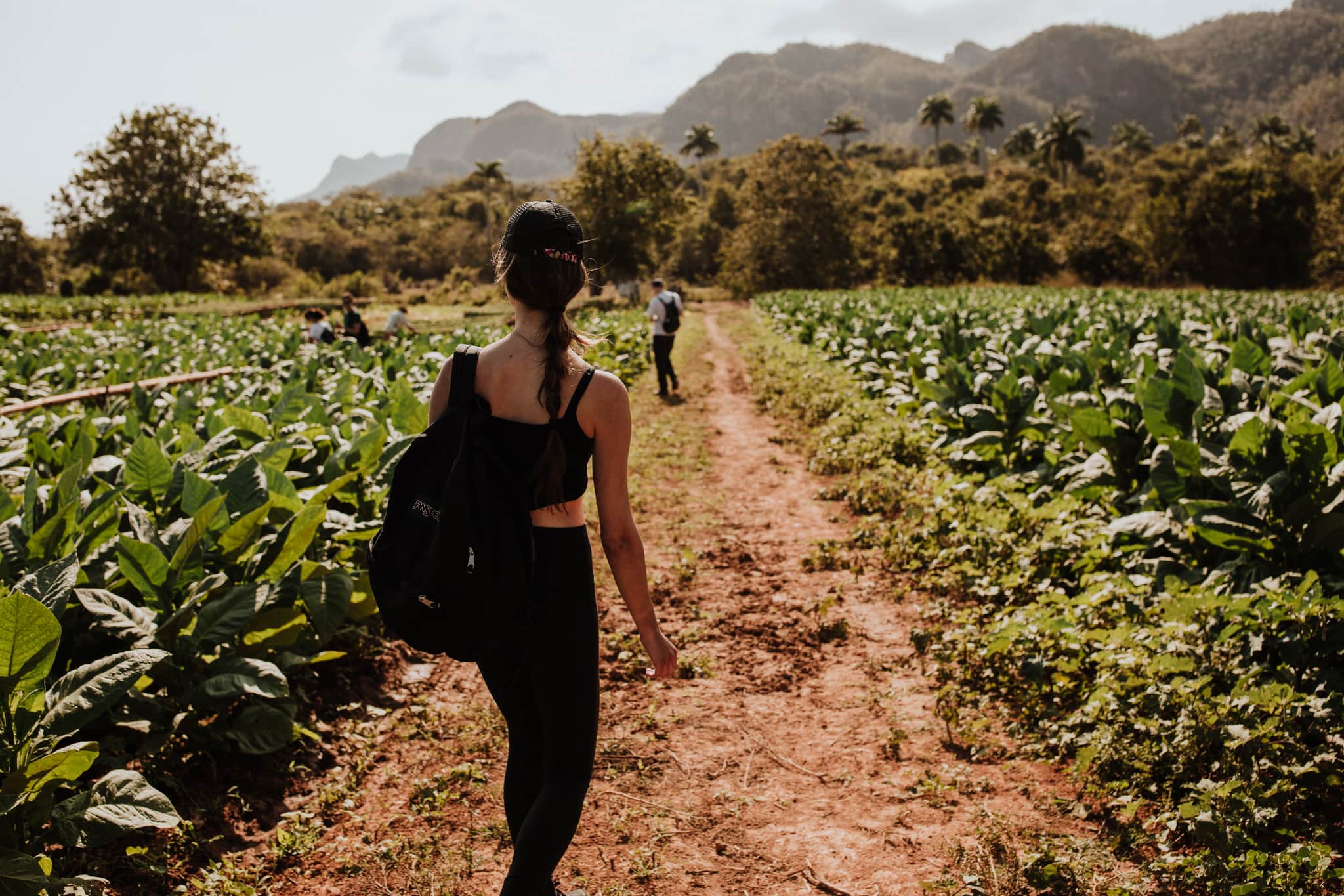 Touring the tobacco fields of Vinales, Cuba. Wedding and travel photographer Brent Calis.