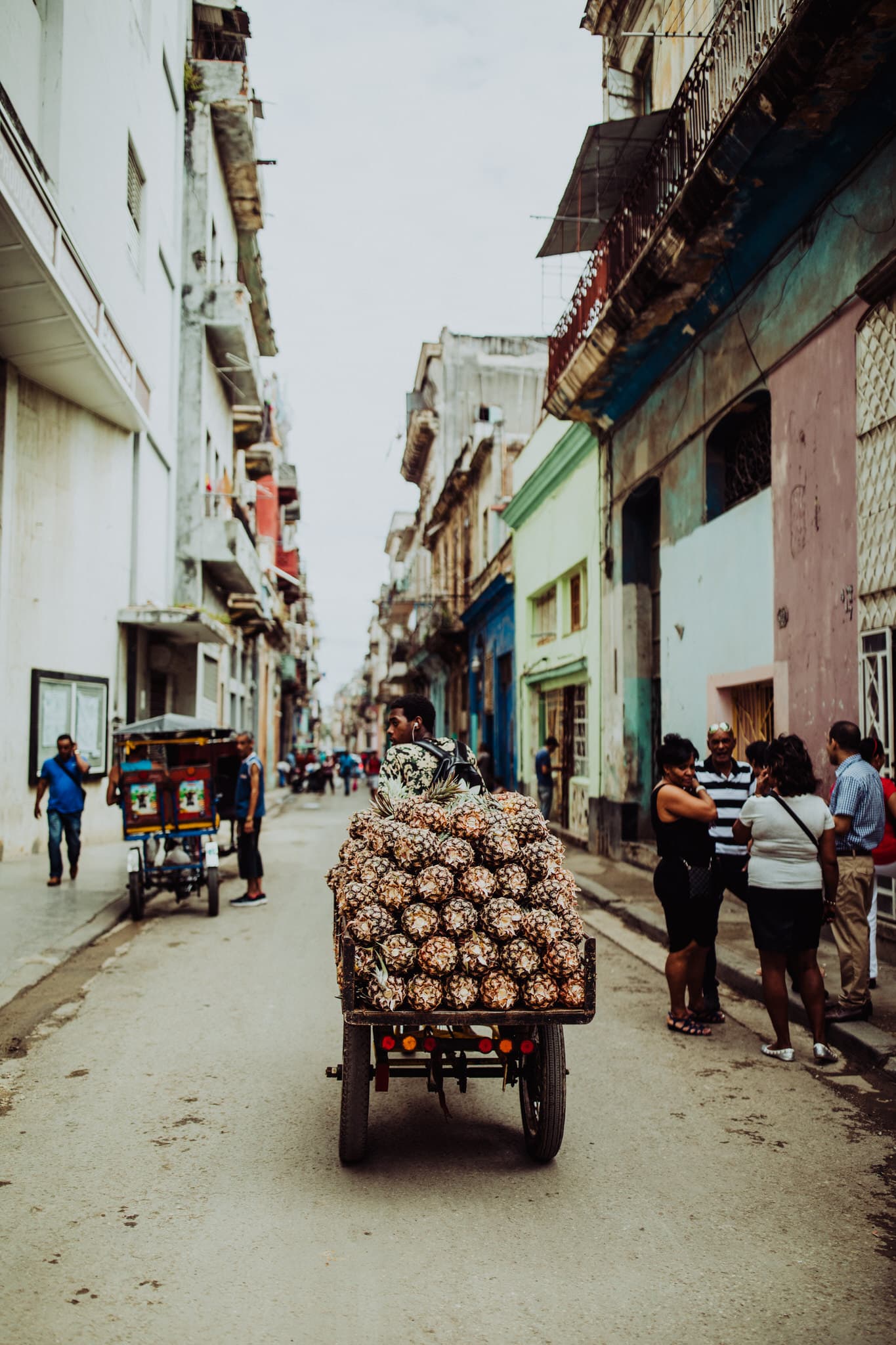 Pineapples in the streets of Havana