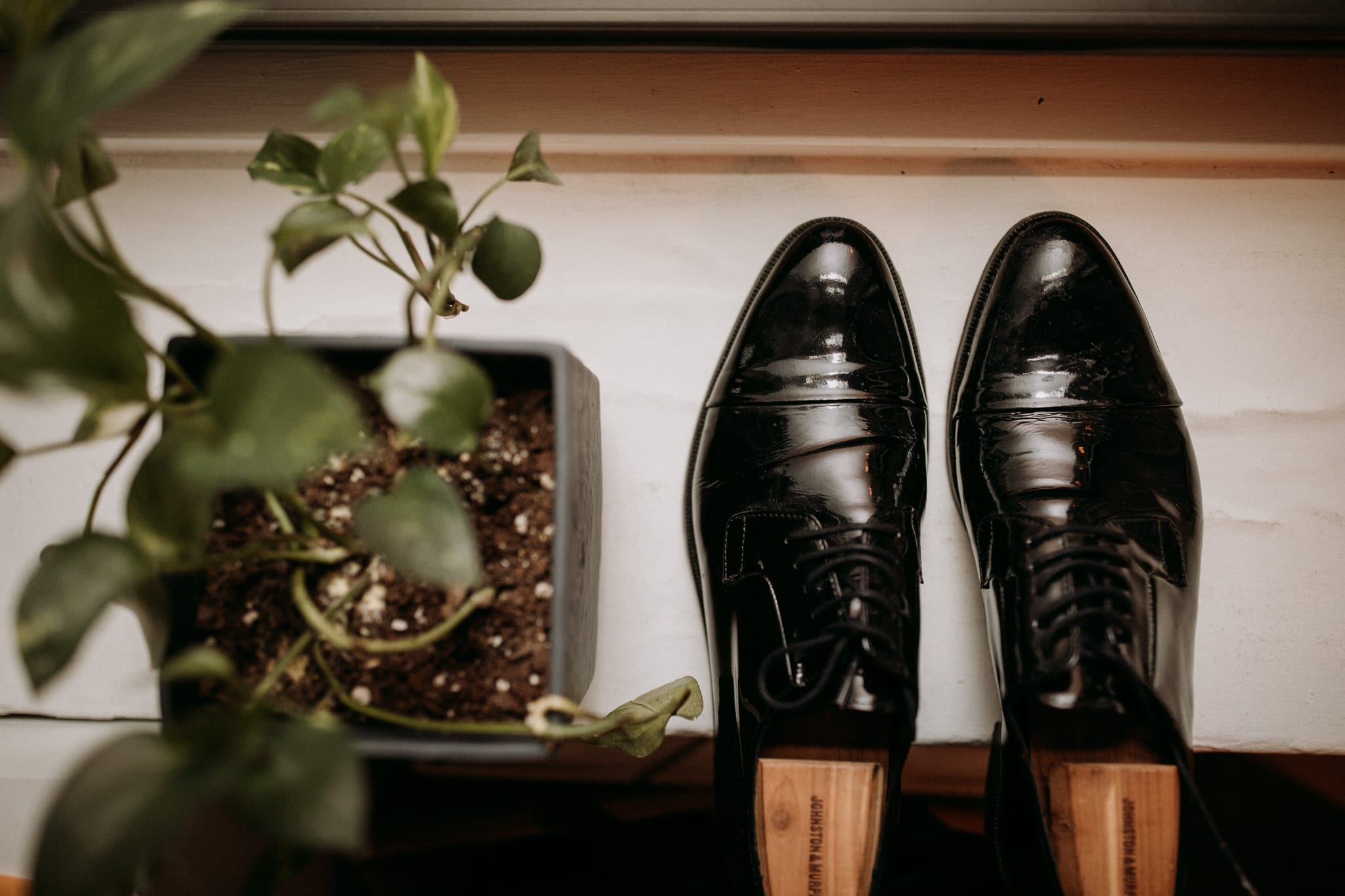 Black dress shoes and plant in window. Wedding Photographer Brent Calis.