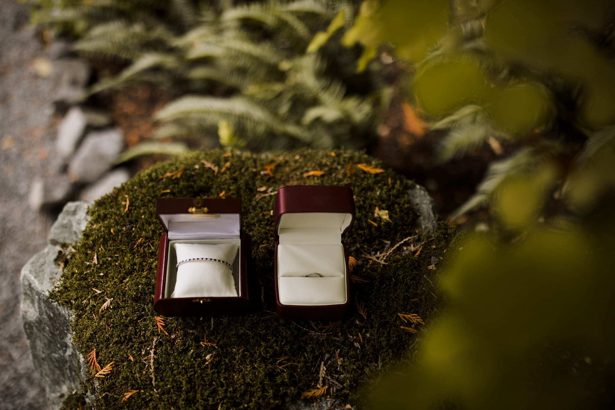 Wedding jewellery sitting on moss in the forests of Whistler Mountain. Destination wedding photographer Brent Calis.