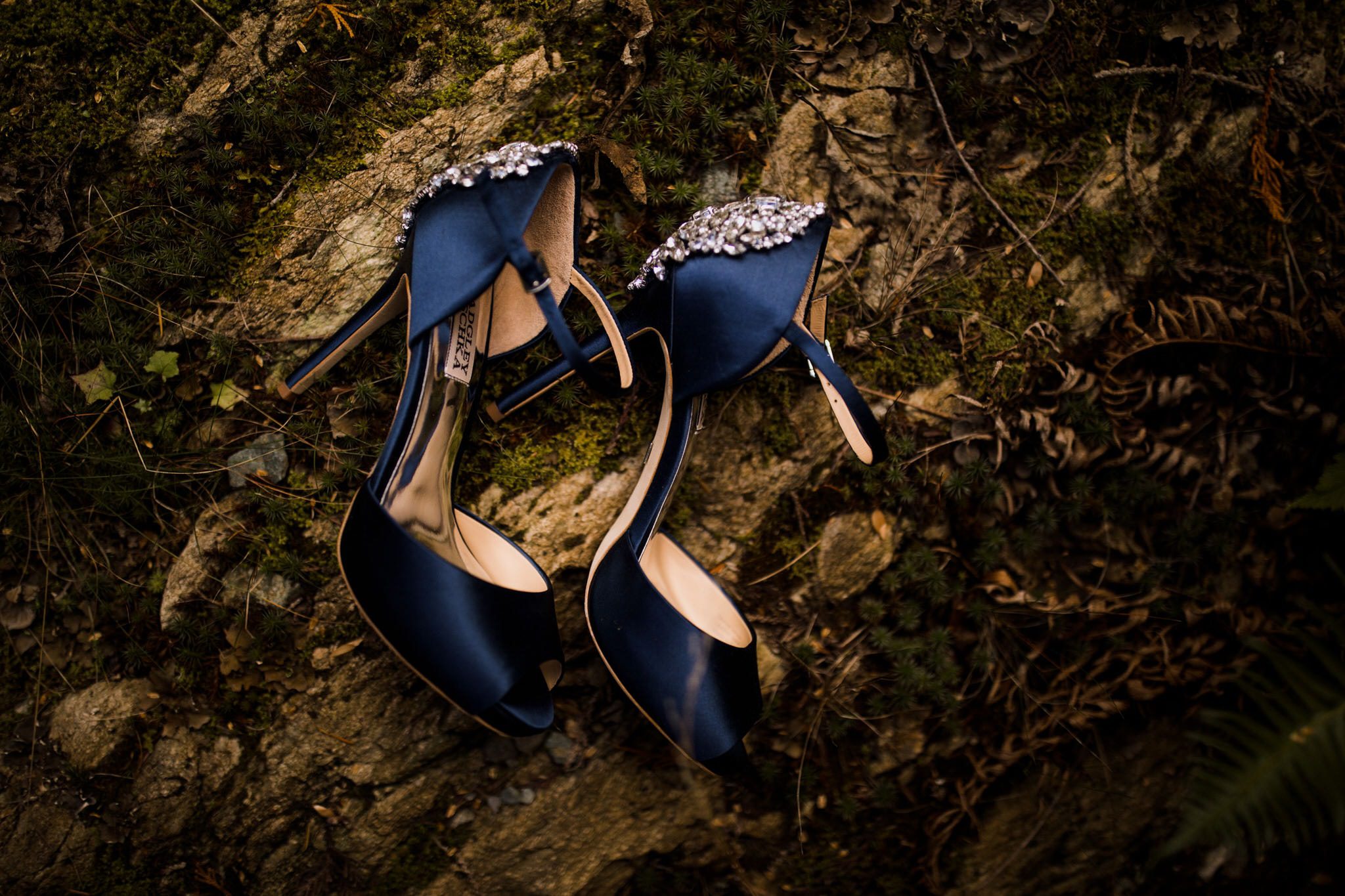 Blue Badgley Mishka wedding shoes on moss in the forests of Whistler Mountain. Destination wedding photographer Brent Calis.