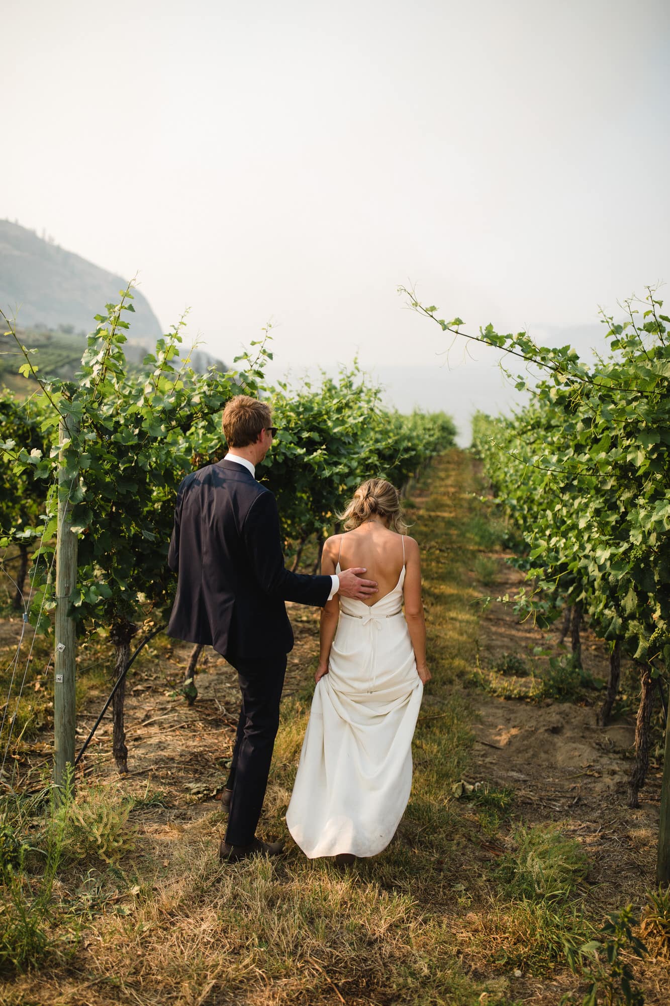 Bride and groom walk through the vineyard at Evolve Cellars Vineyard on Lake Okanagan, Summerland, BC. Destination wedding photographer Brent Calis.